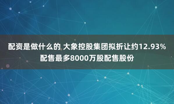 配资是做什么的 大象控股集团拟折让约12.93%配售最多8000万股配售股份