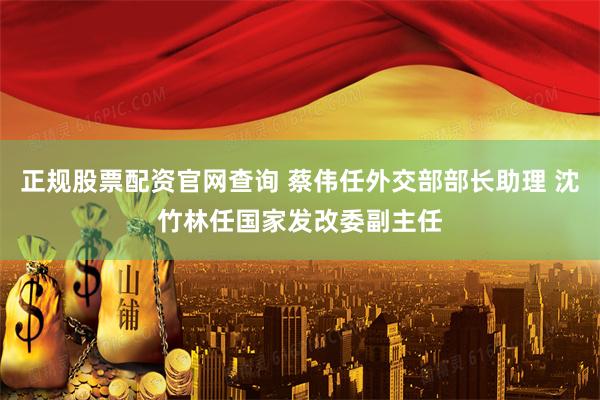 正规股票配资官网查询 蔡伟任外交部部长助理 沈竹林任国家发改委副主任