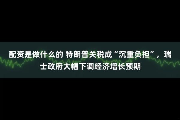配资是做什么的 特朗普关税成“沉重负担”，瑞士政府大幅下调经济增长预期